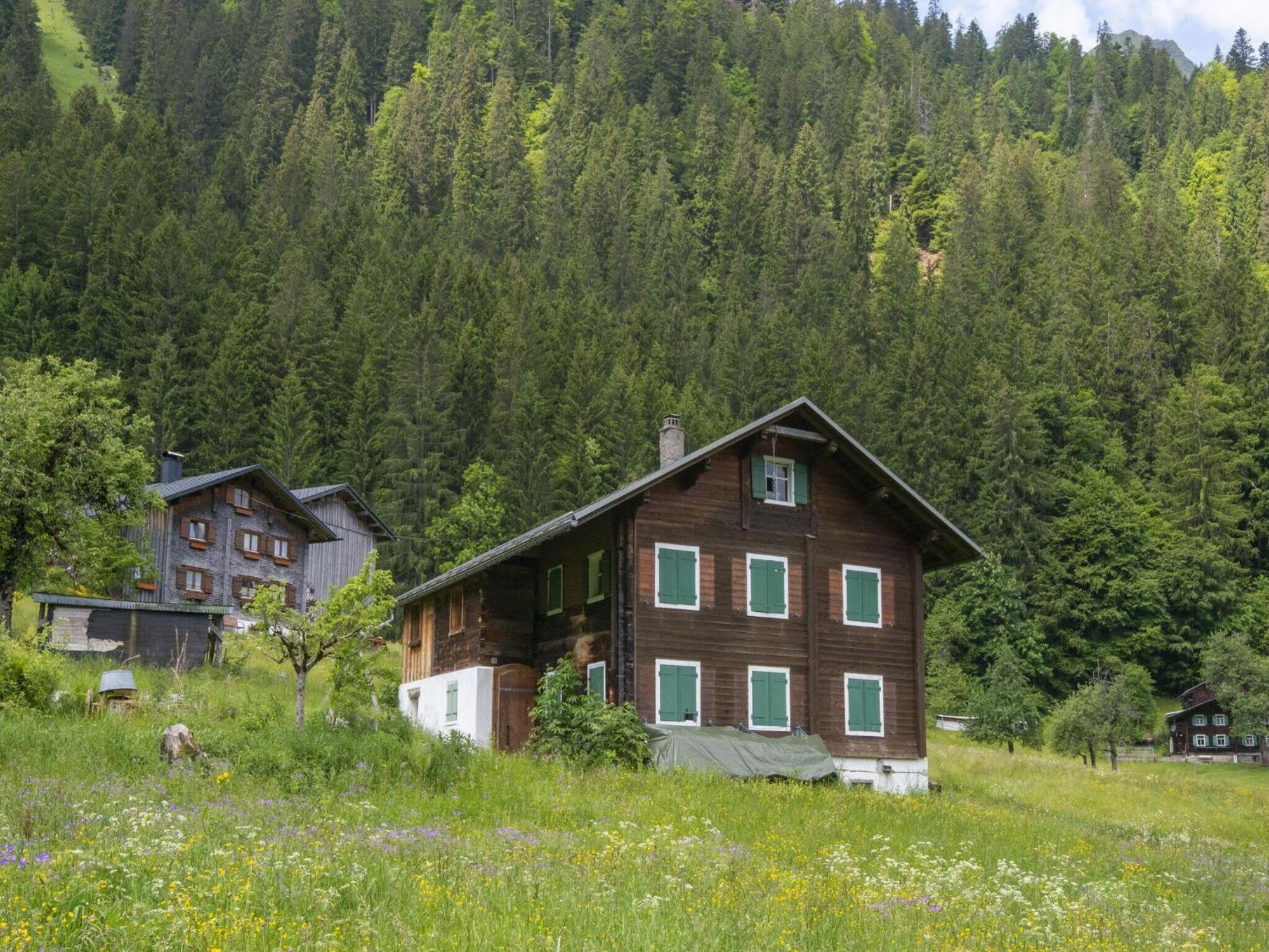 Holiday Home Near Ski Resort In St Gallenkirch Sankt Gallenkirch Eksteriør bilde