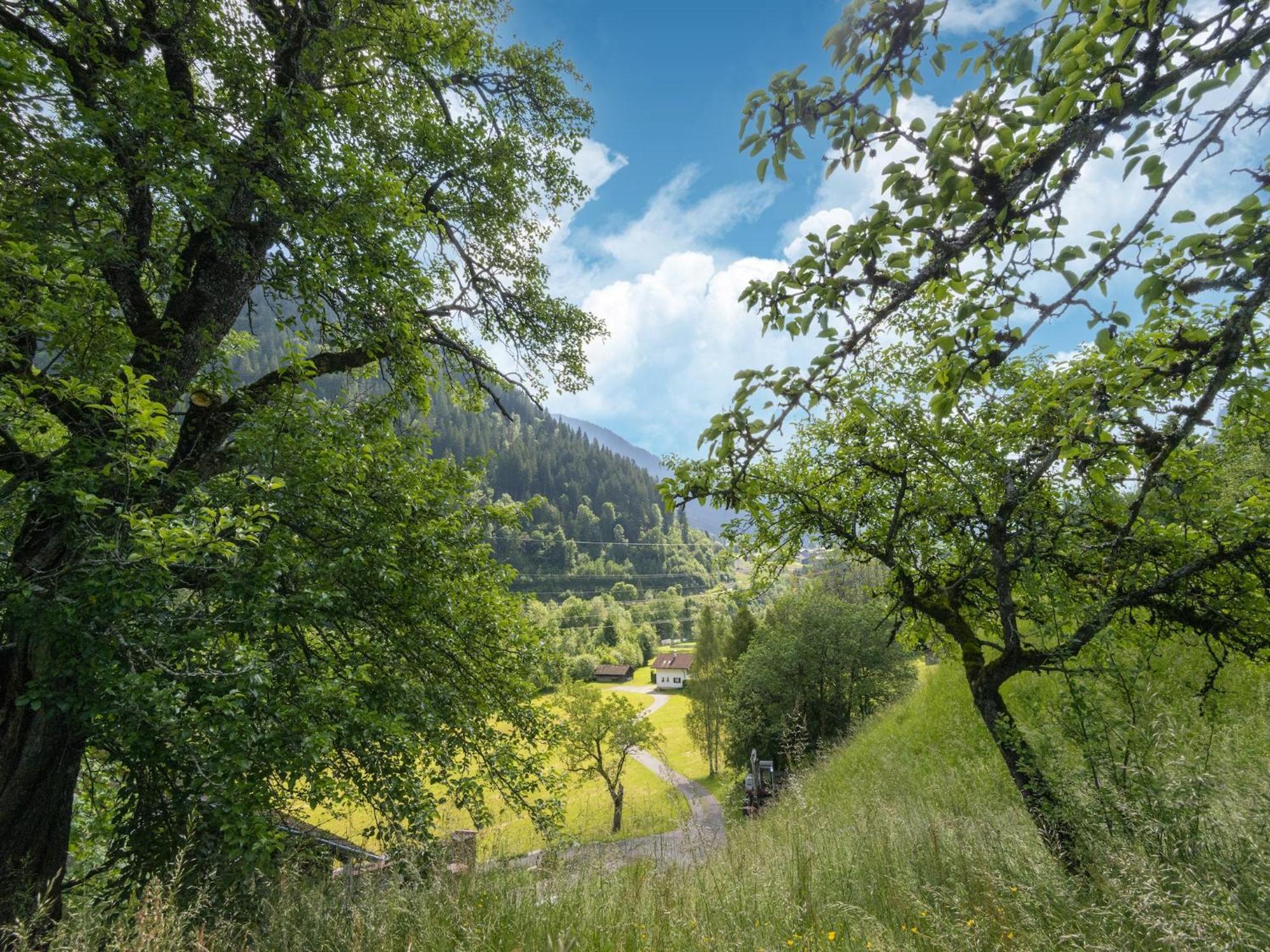 Holiday Home Near Ski Resort In St Gallenkirch Sankt Gallenkirch Eksteriør bilde